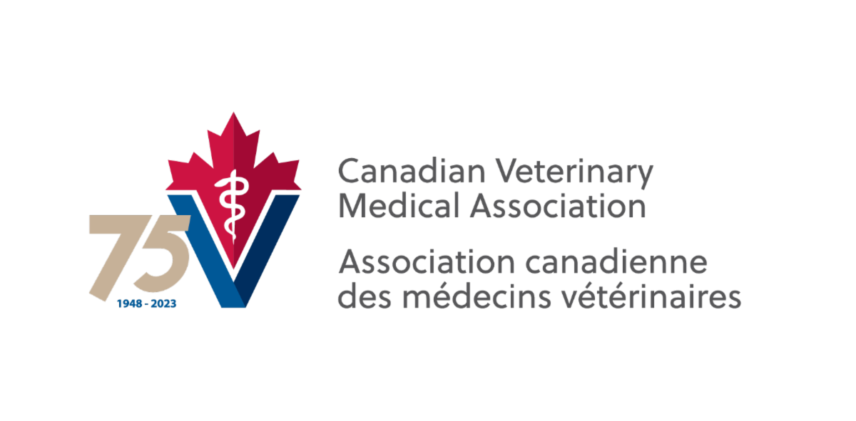 Online from 339 FMV to Introduce New Veterinary Qualification Program