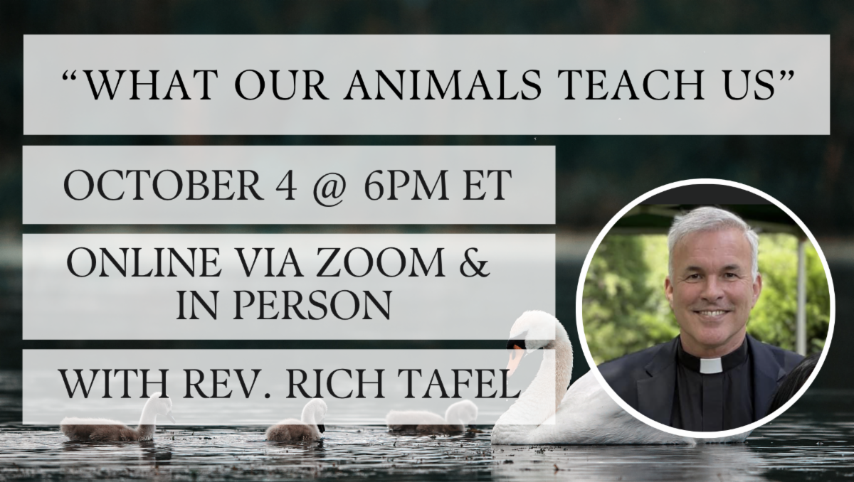 Animal Blessing and What Our Animals Teach Us with Rev. Rich Tafel