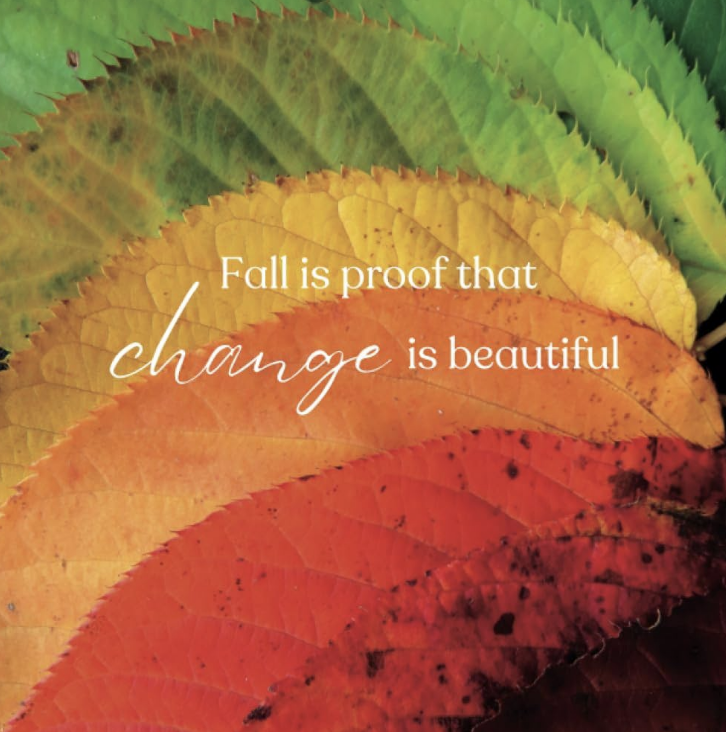 Important Fall Changes