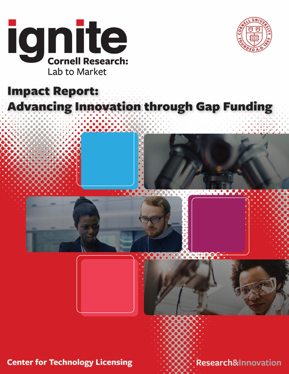 Ignite Impact Report