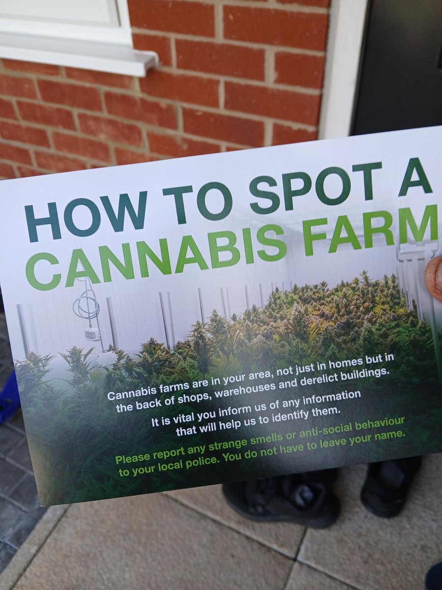 cannabis farm