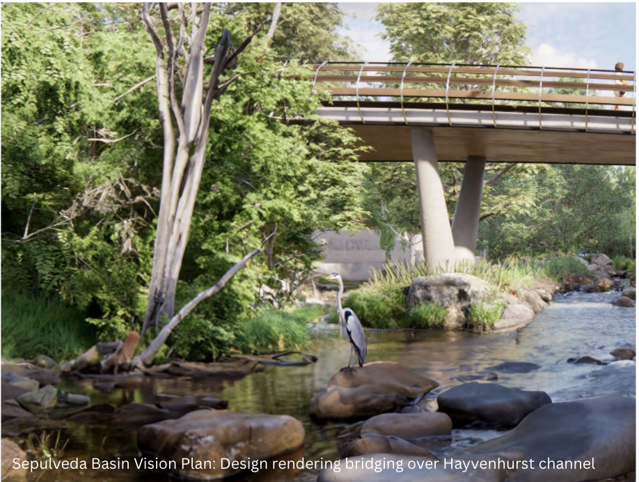 hayvenhurst vision plan 