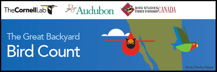 2016 Great Backyard Bird Count