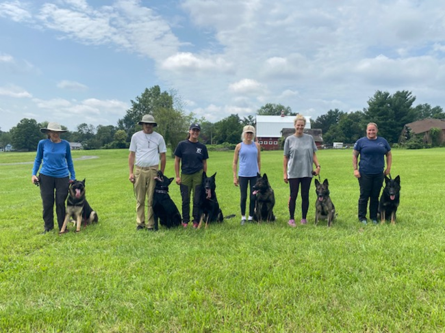Dog Trainers