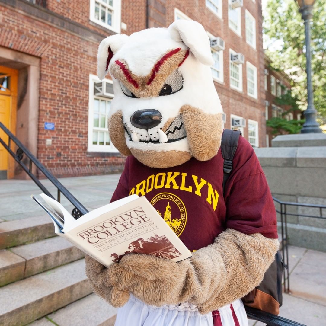 Brooklyn Bulldog