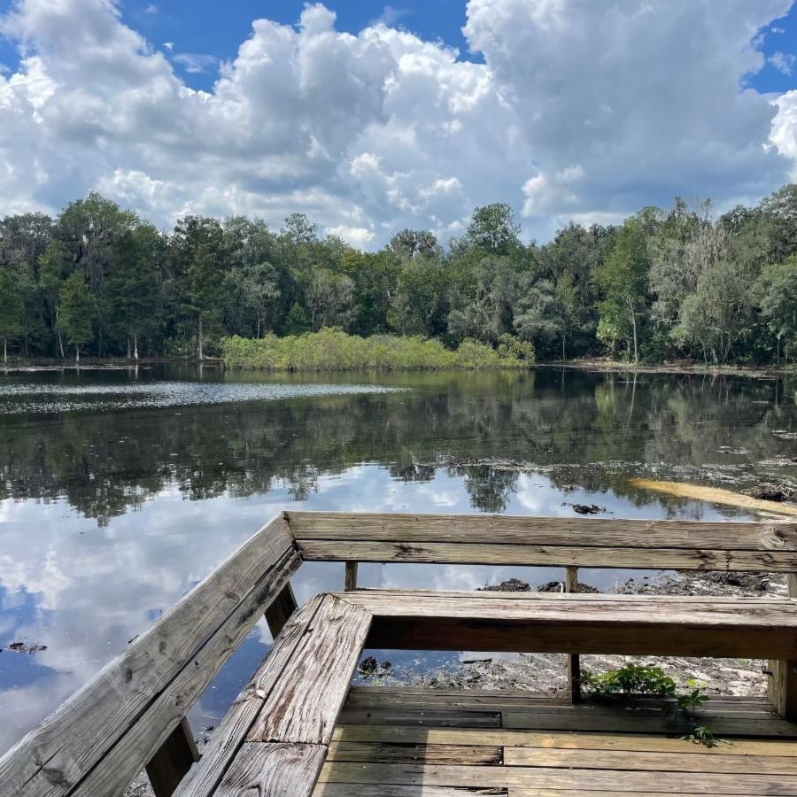 Wooden observation deck overlooking a tree-lined pond beneath a bright, cloud-filled blue sky.