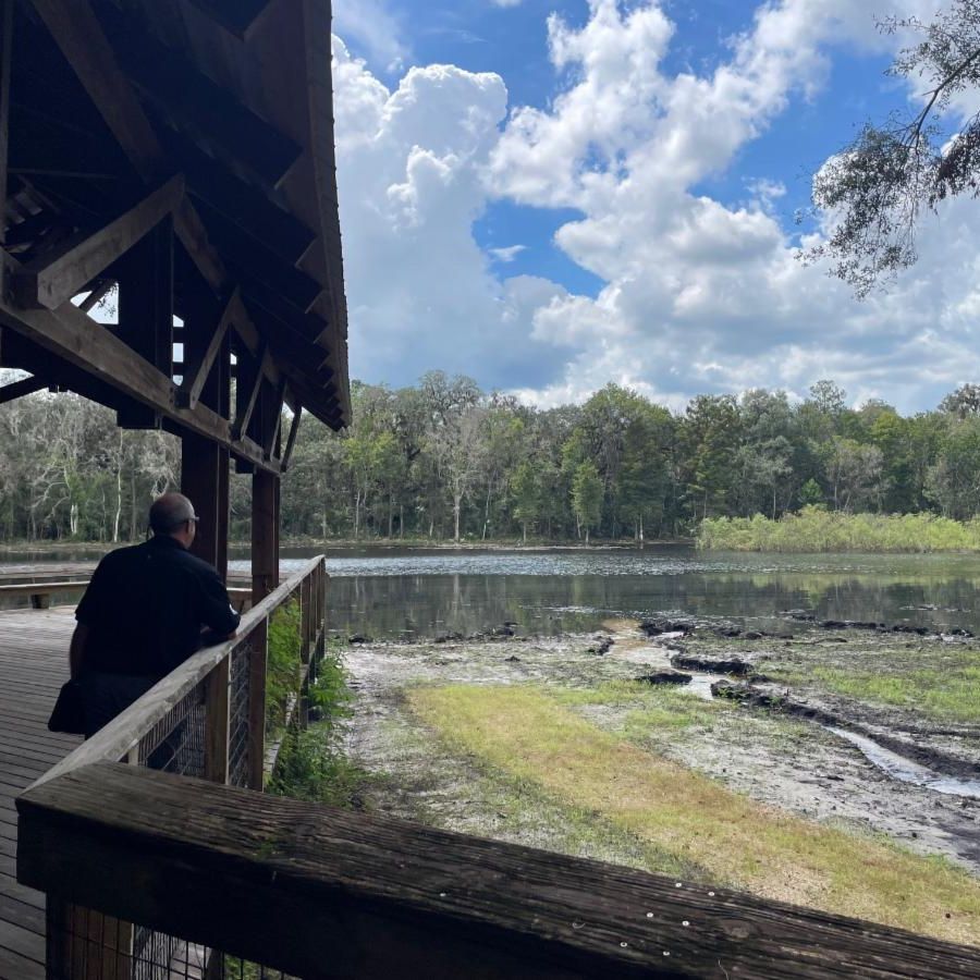 Person on a covered wooden boardwalk overlooking a shallow pond surrounded by trees under a partly cloudy sky.