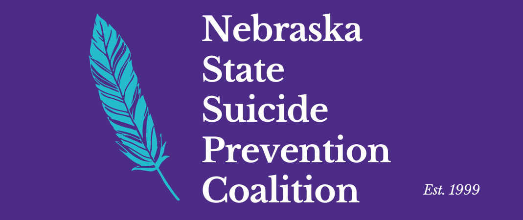 NSSPC Banner