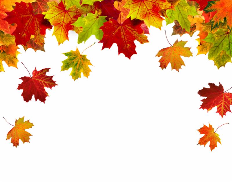 header_autumn_leaves.jpg