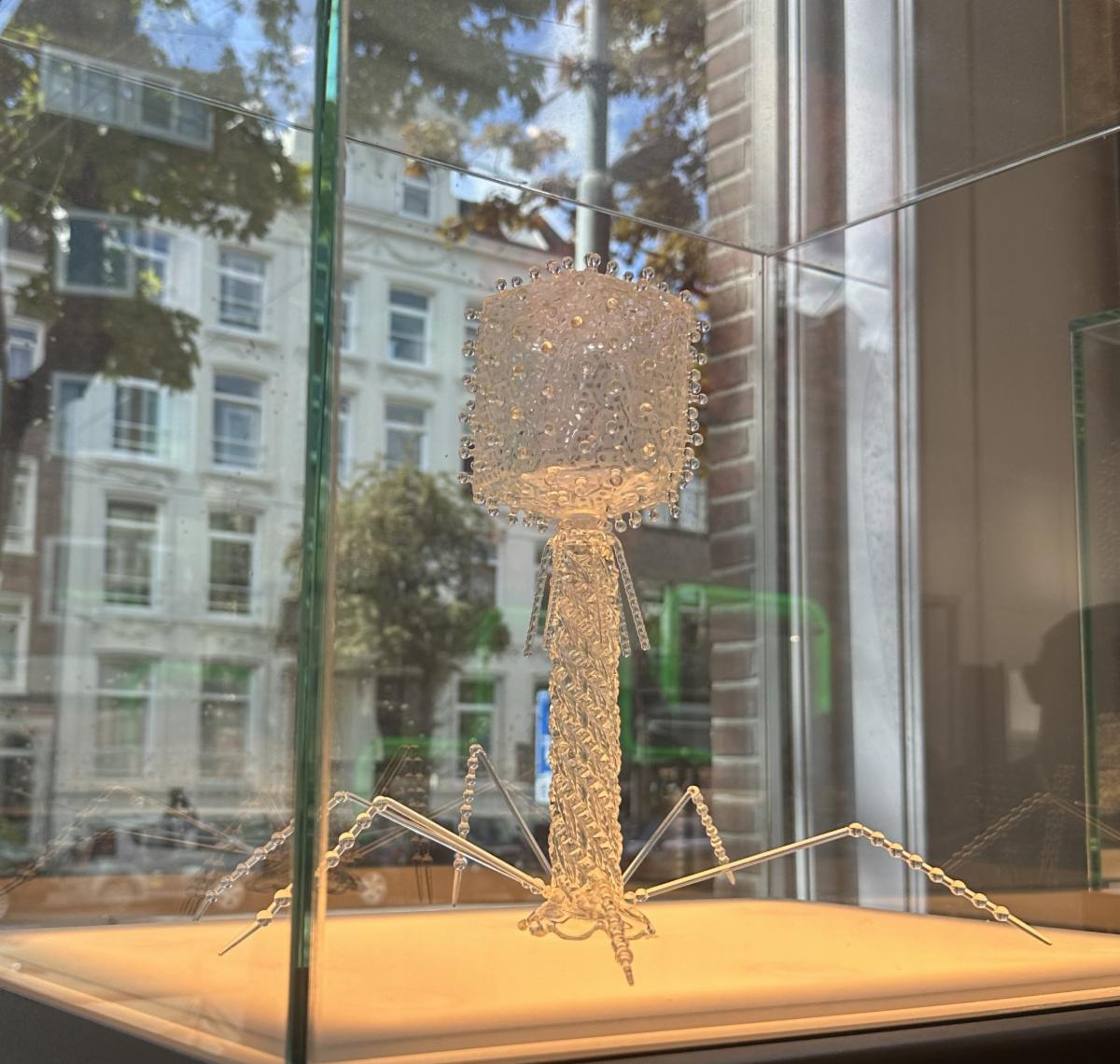 A picture of a glass bacteriophage inside a glass display case.
