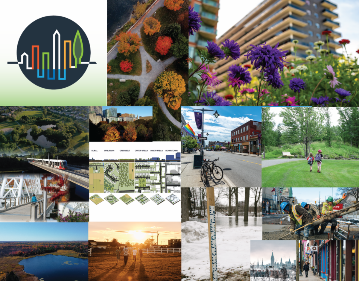 collage of New Plan and link