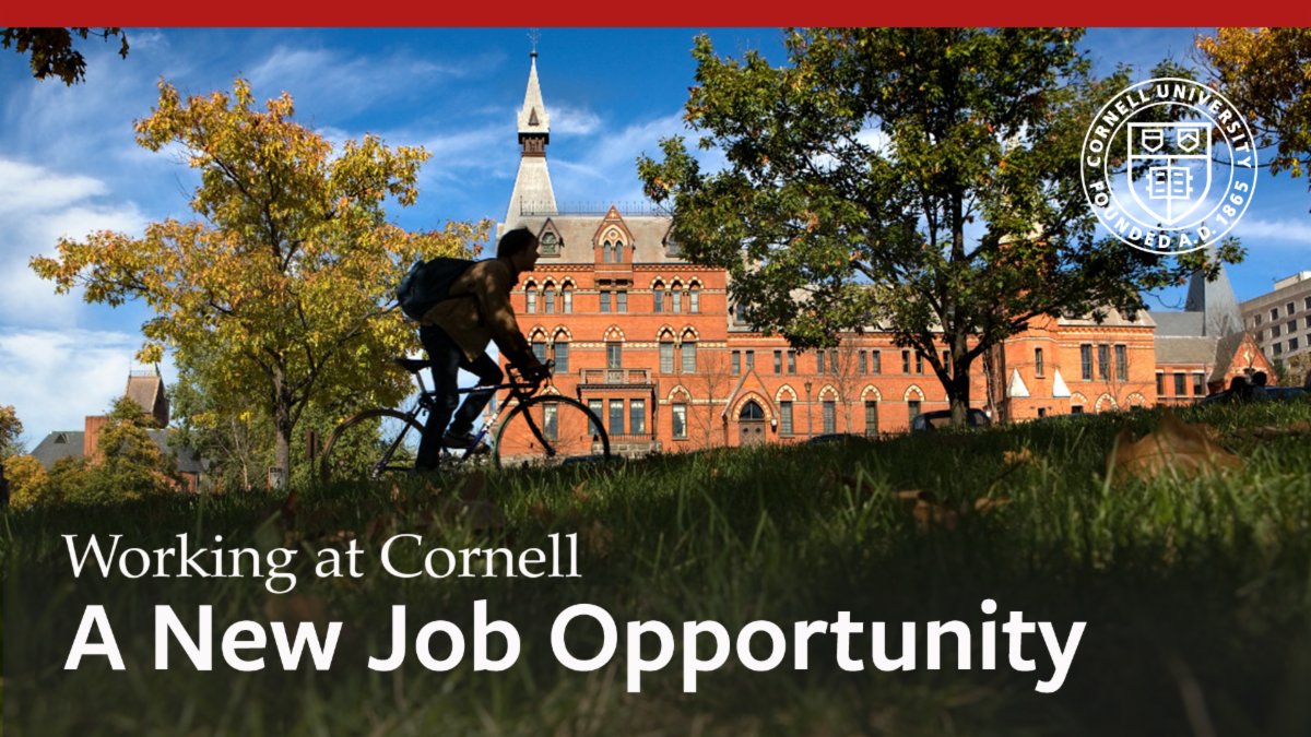 Career Opportunity Associate Director Occupational Health and Safety