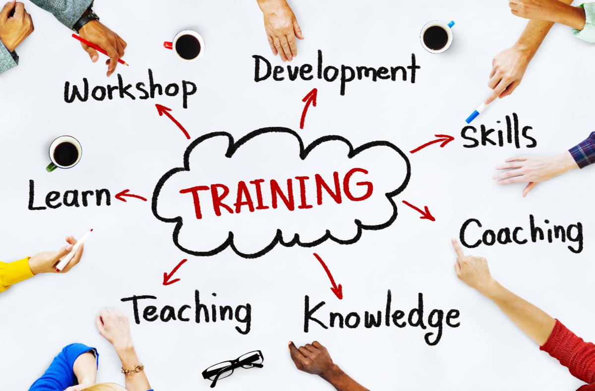 training-and-development-1.jpg