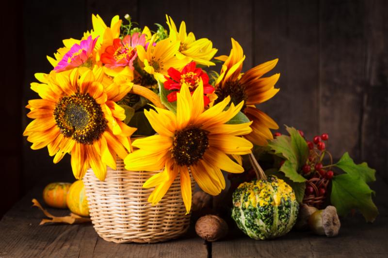 flowers_still_life.jpg