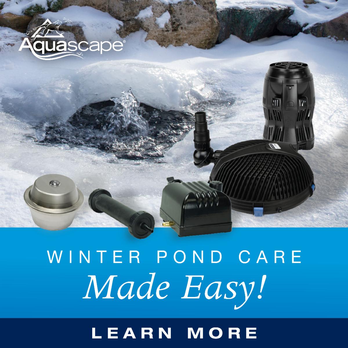 Our Top Five Tips for Winter Pond Keeping