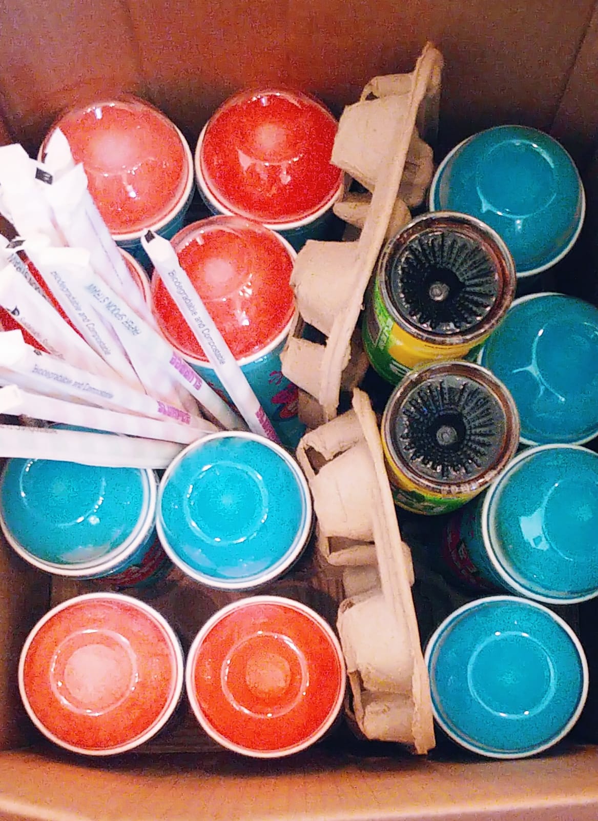 slushies choir tour