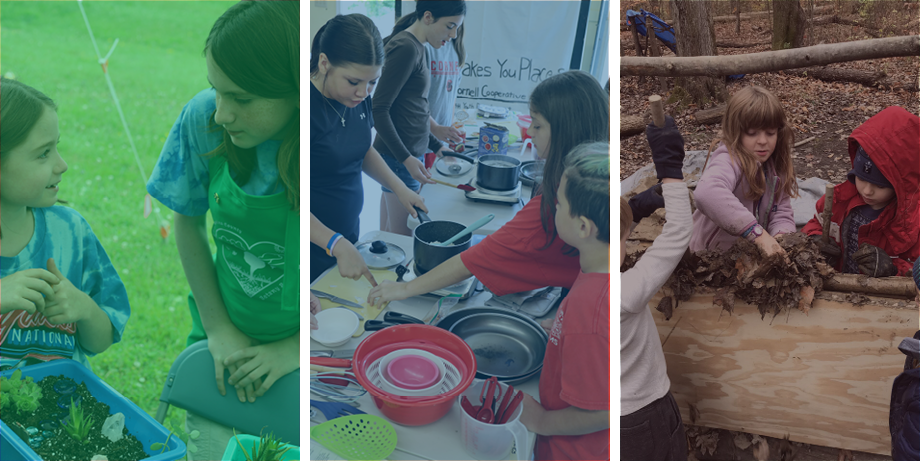 Three pictures: two youth planting succulents, a group of kids making food together, and another scene in a forest.
