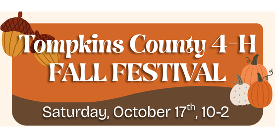 Illustrations of pumpkins and acorns with text Tompkins 4-H Fall Festival, October 17, 10 am-2 pm.
