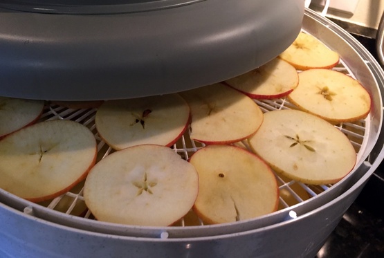 Thin sliced apples in a dehydrator.
