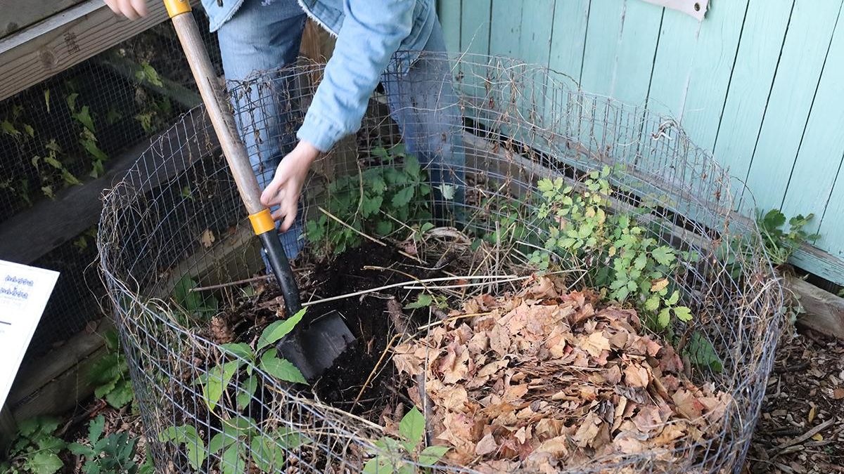A person using a shovel to turn compost in a wire bin.