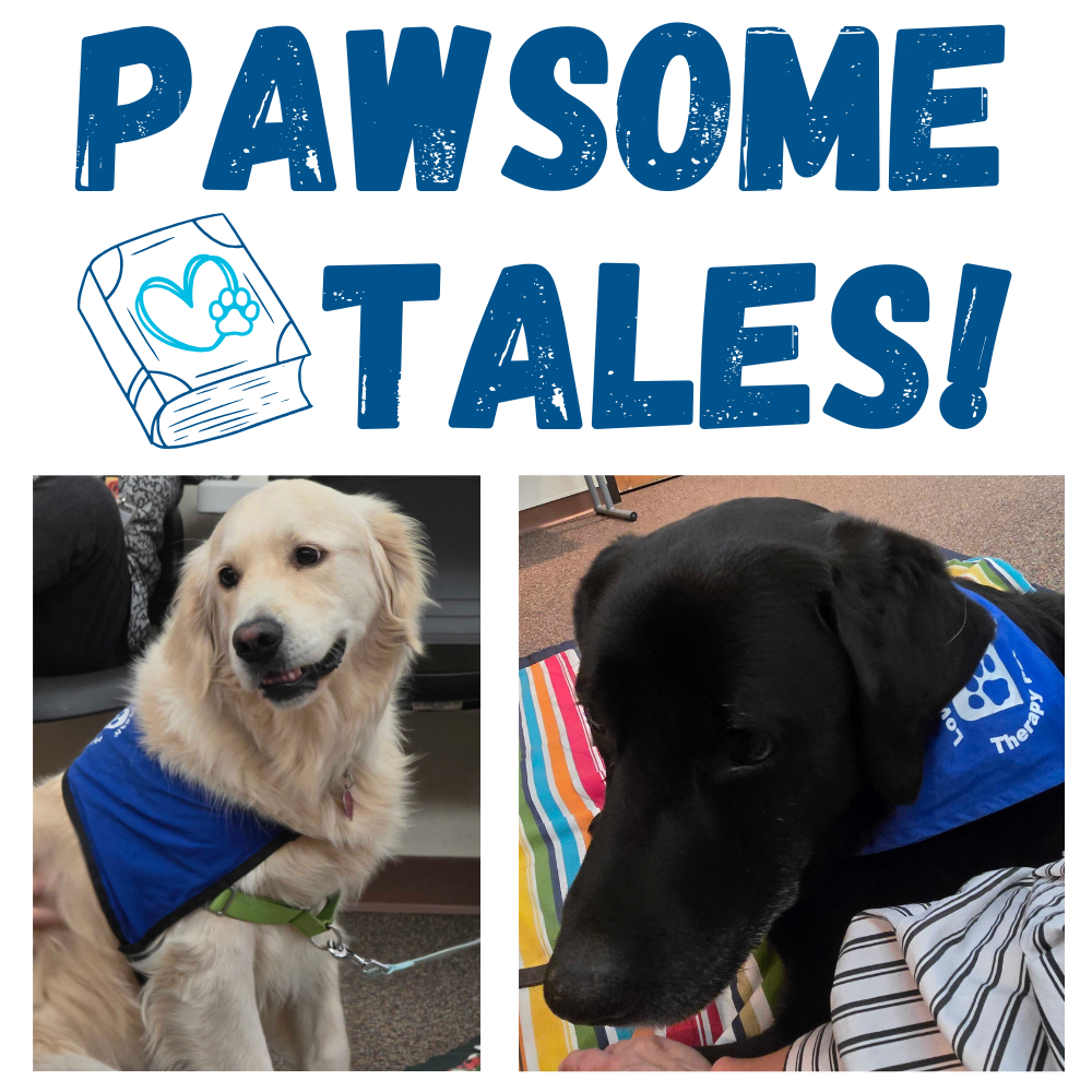 The Pawsome Tales logo above the two therapy dogs.