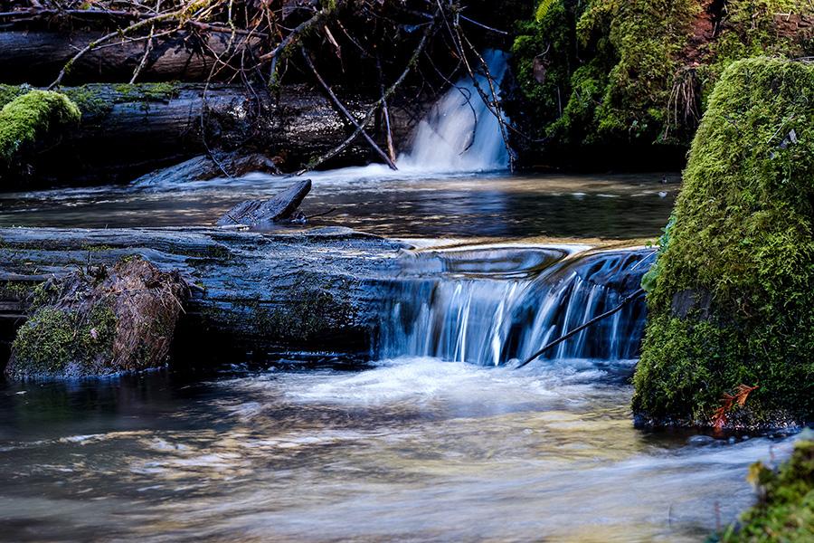 Beautiful Flowing Stream