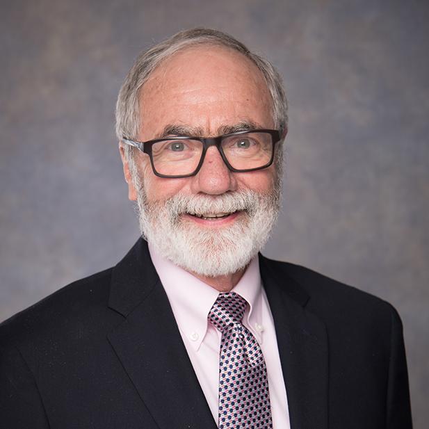 Wayne Menking