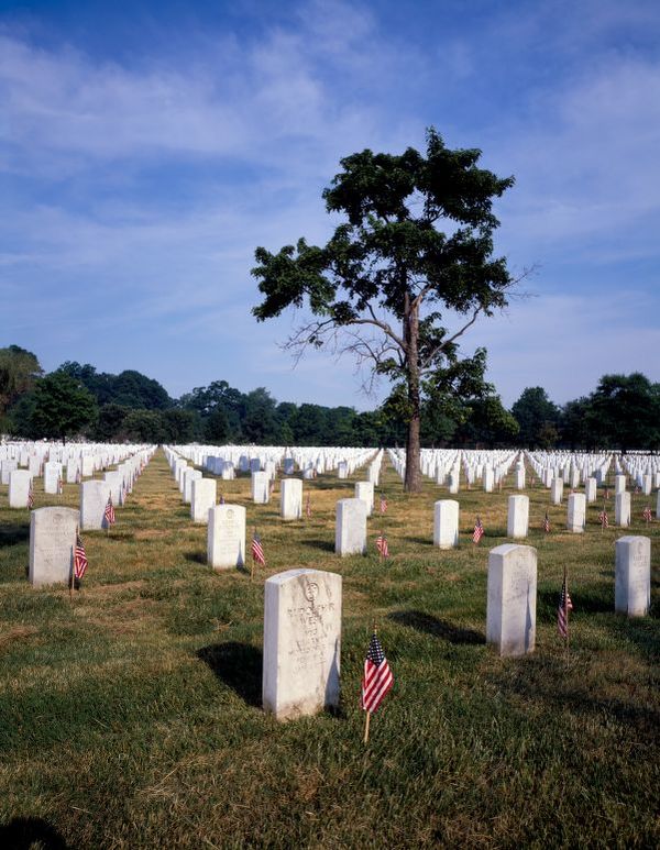 Image of gravestones at Arlington National Cemetery. White headstones on green grass, with trees and blue sky in the in background.