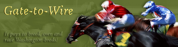Gate-to-Wire