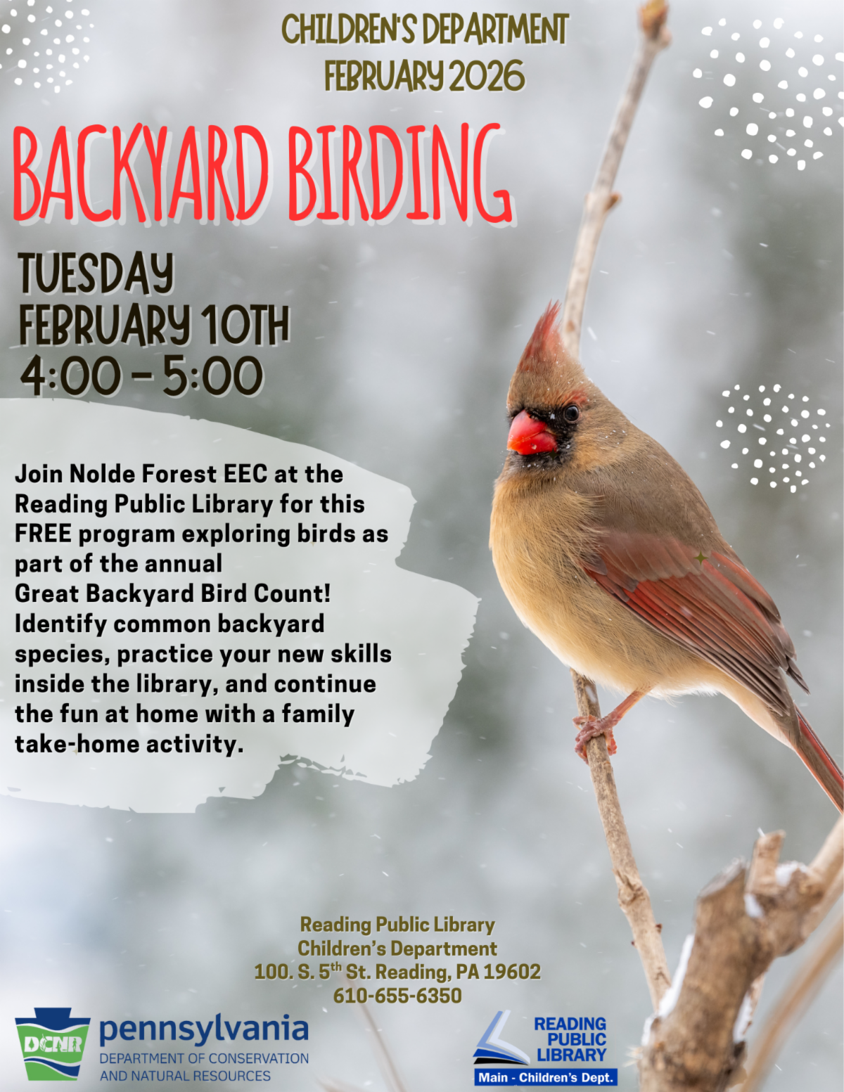 northern cardinal on a twig.