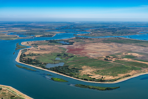 Aerial photo of Webb Tract; Source: CA Dept of Water Resources