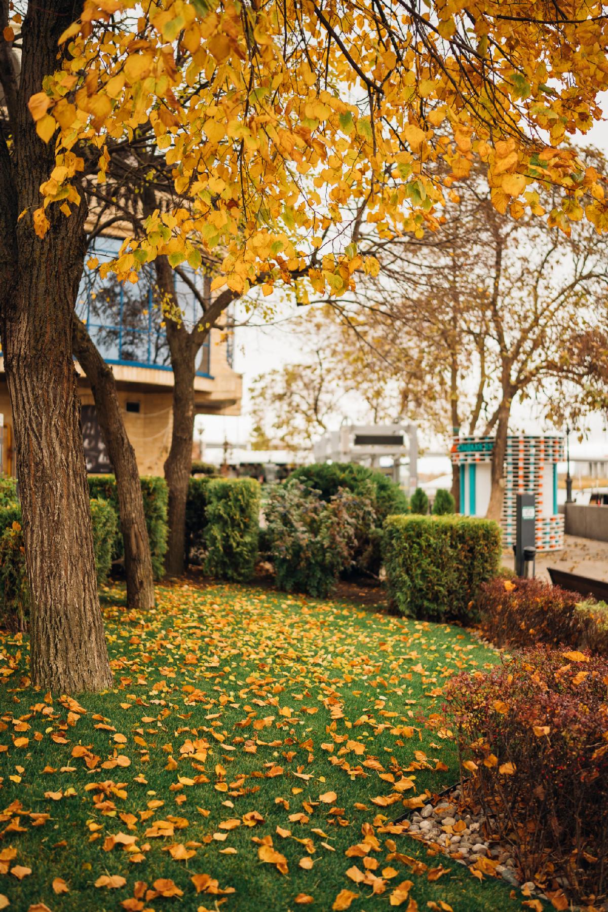 Fall Color Selections 2026